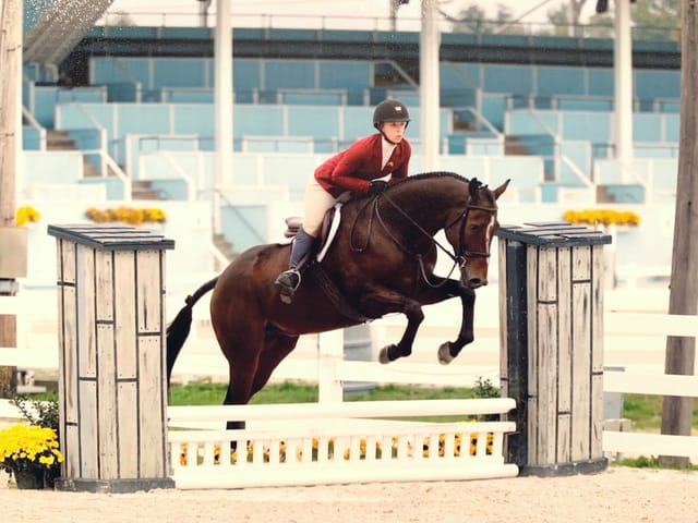 NV Graduate: Technicolor and His Adopter, Rachel Win Harris Farms Santa Anita Thoroughbred Sporthorse Scholarship