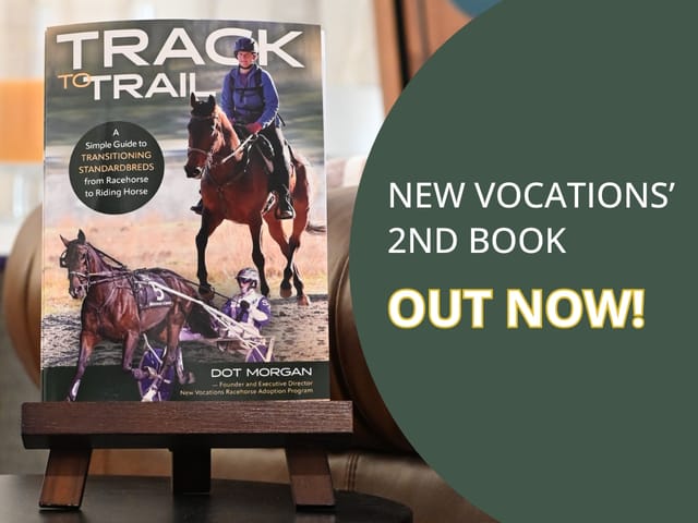 New Vocations Publishes its Second Book