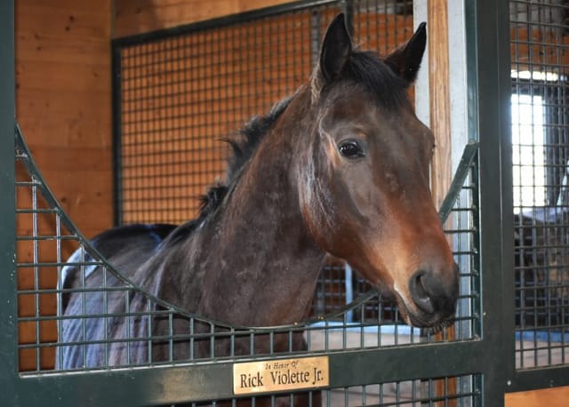 NYTHA Honors Rick Violette with New Vocations Stall Sponsorship