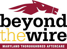 Beyond the Wire Beyond the Wire